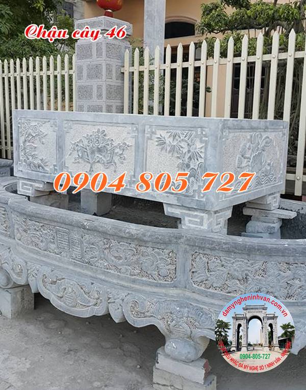 Ang cây cảnh đẹp 46