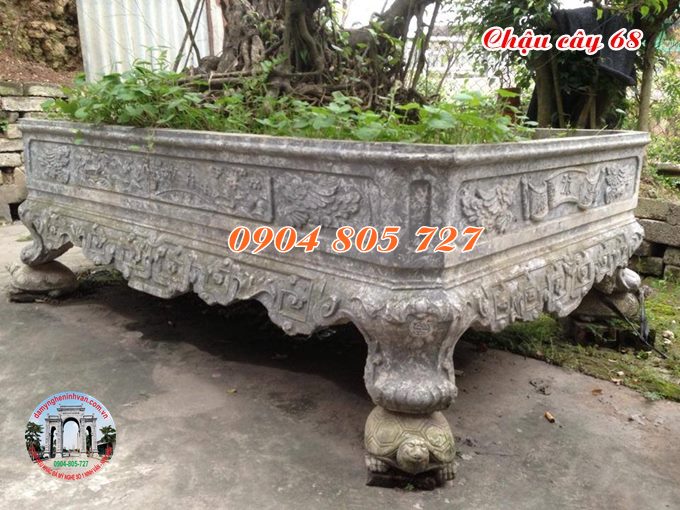 Ang chậu cây cảnh 68