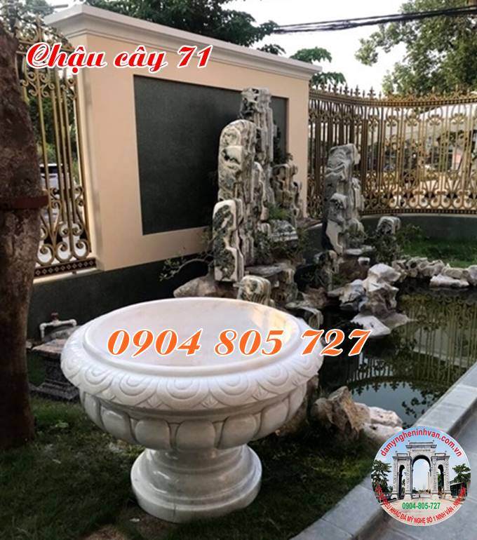 Ang chậu cây cảnh đẹp 71