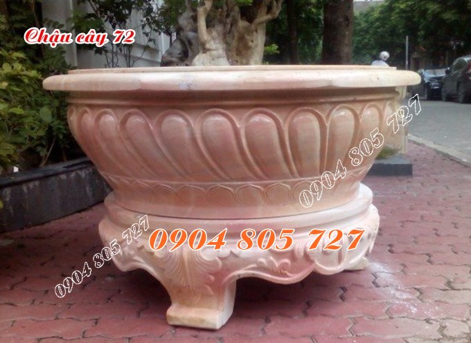 Ang chậu cây cảnh đẹp 72