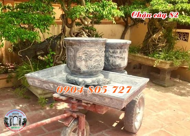 Ang đá cảnh đẹp 82