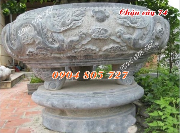 Mẫu ang chậu cây cảnh 74